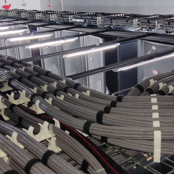 1666958924795 - Copy